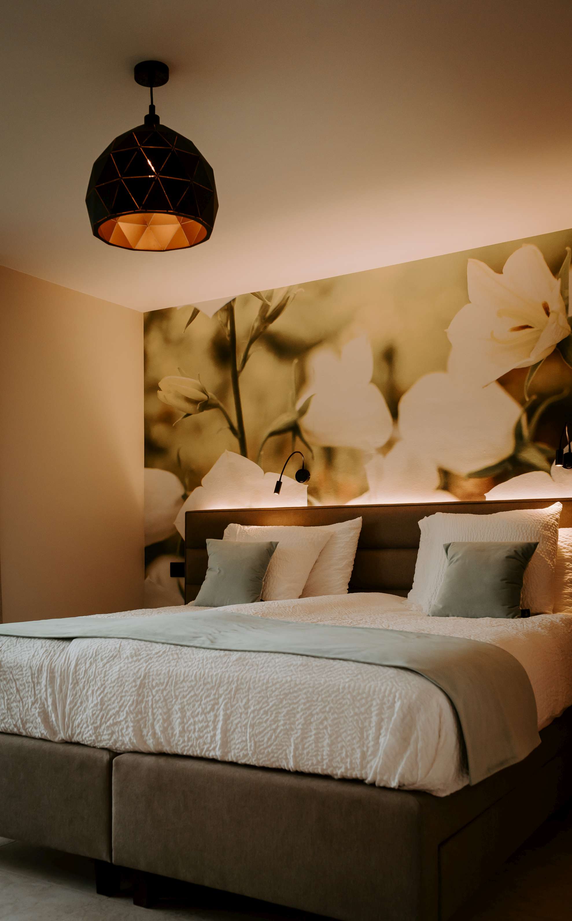 Kamer Campanula
